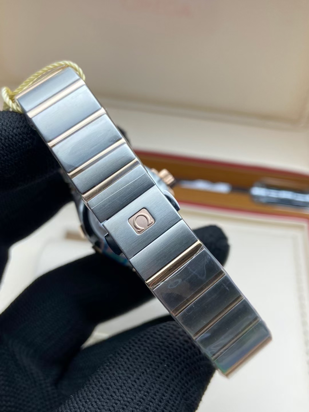 Constellation Women's Shell Plate